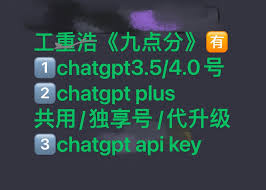 chatgpt会员账号ChatGPT 会员账号简介
