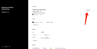 openai plus中国用户如何支付OpenAI Plus 支付的注意事项