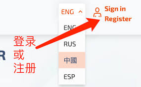 openai注册没有国外手机号注册流程与细节